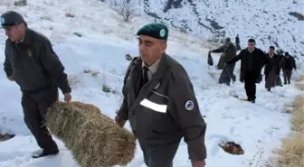 Soğuk Kış Günlerinde Yaban Hayvanları Unutulmadı