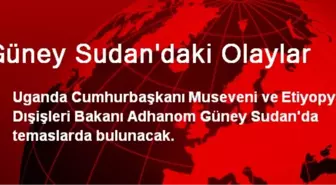 Güney Sudan'daki Olaylar