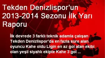 Tekden Denizlispor'un 2013-2014 Sezonu İlk Yarı Raporu