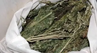 Uşak'ta Uyuşturucu ve Kaçakçılık Operasyonu