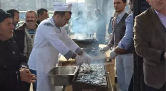 Ordulular Hamsi Şöleninde Buluştu