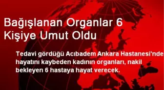 Bağışlanan Organlar 6 Kişiye Umut Oldu