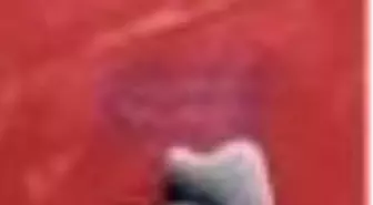 Şiir Taşı Kitabı Çıktı