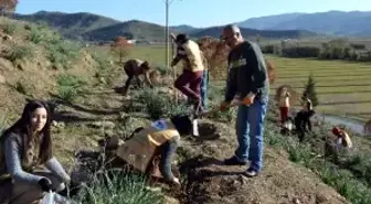 Tema: '2014 Yılına Ağaç Keserek Değil, Fidan Dikerek Girelim.'
