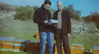 Aydınlı Arıcılar Devlet Desteklerini Almaya Başladı