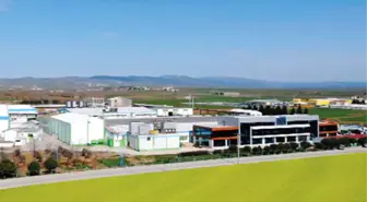 Şeker Piliç, Çalışanlarını Topluca İşten Çıkarttı