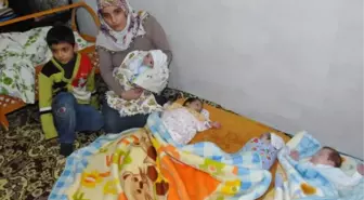 Eşi Öldükten 1 Hafta Sonra Dördüzleri Dünyaya Geldi