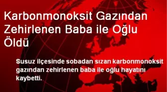 Karbonmonoksit Gazından Zehirlenen Baba ile Oğlu Öldü