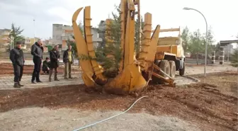 Kesilecek Ağaçları Belediye Kurtardı