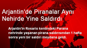 Arjantin'de Piranalar Aynı Nehirde Yine Saldırdı