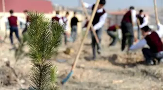 Pozantı'da Ağaçlandırma Çalışmaları