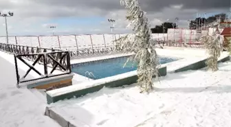 Karşıyaka Belediyesi Gençliğin Hizmetinde