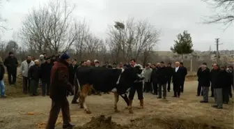 Kış Ortasında Yağmur Duası