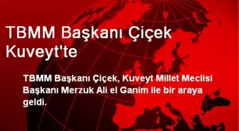 TBMM Başkanı Çiçek Kuveyt'te