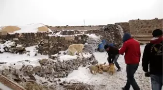 Kuduz Köpeğin Isırdığı 4 Yaşındaki Berat Öldü