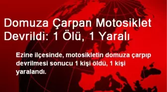 Domuza Çarpan Motosiklet Devrildi: 1 Ölü, 1 Yaralı