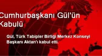 Cumhurbaşkanı Gül'ün Kabulü