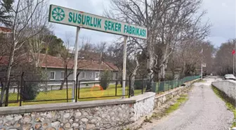 Susurluk Şeker Fabrikası Yeniden Üretime Başlıyor