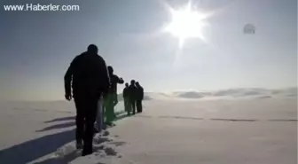 Doğu'nun Beyzbolu, Topa Garane