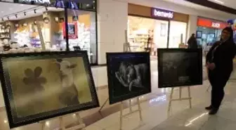 Dünyanın En Rahat Yeri Kayseri'de Sergilendi