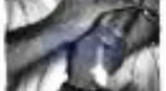 Life: Keith Richards Kitabı