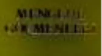 Mengene Göçmenleri Kitabı