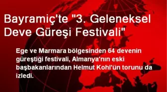 Bayramiç'te '3. Geleneksel Deve Güreşi Festivali'