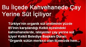 Bu İlçede Kahvehanede Çay Yerine Süt İçiliyor