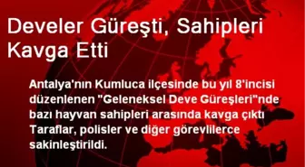 Adıyaman'da Develer Güreşti, Sahipleri Kavga Etti