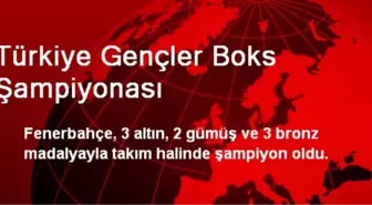 Türkiye Gençler Boks Şampiyonası