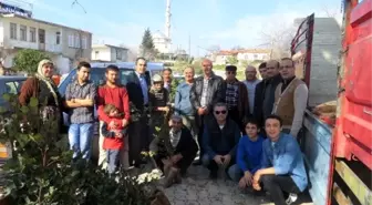 MASİAD'dan Köylere Keçi Boynuzu Fidesi