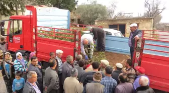 MASİAD'dan Köylülere Keçiboynuzu Fidesi