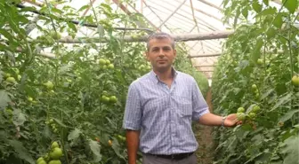 Organik Tarım Destekleme Başvuruları Başladı