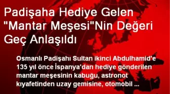 Padişaha Hediye Gelen 'Mantar Meşesi'Nin Değeri Geç Anlaşıldı