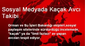 Sosyal Medyada Kaçak Avcı Takibi