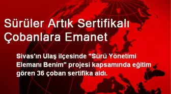 Sürüler Artık Sertifikalı Çobanlara Emanet