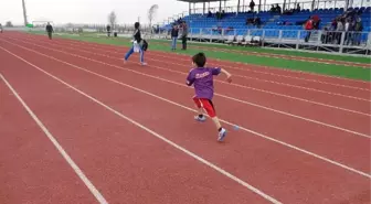 Özel Aydınlıklı Öğrenciler 'Bebestad' Yarışlarında 8 Madalya Kazandı