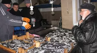 Görele'de Hamsi Fiyatı Tavan Yaptı