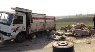 Kahramanmaraş'ta Kamyonet Devrildi: 2 Yaralı