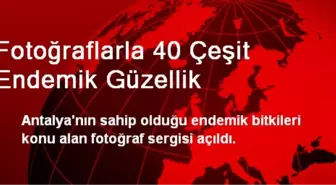 Fotoğraflarla 40 Çeşit Endemik Güzellik