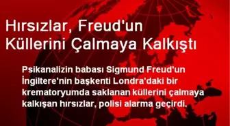 Hırsızlar, Freud'un Küllerini Çalmaya Kalkıştı