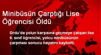 Ordu'da Minibüsün Çarptığı Lise Öğrencisi Öldü