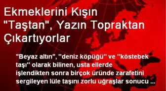 Ekmeklerini Kışın 'Taştan', Yazın Topraktan Çıkartıyorlar