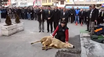 Kış ortasında 'yağmur duası' -