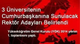 3 Üniversitenin Cumhurbaşkanına Sunulacak Rektör Adayları Belirlendi