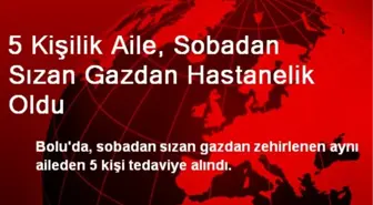 5 Kişilik Aile, Sobadan Sızan Gazdan Hastanelik Oldu