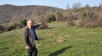 Yalova'da 2013 Yılında 122 Bin Fidan Dikildi