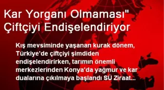 Kar Yorganı Olmaması' Çiftçiyi Endişelendiriyor