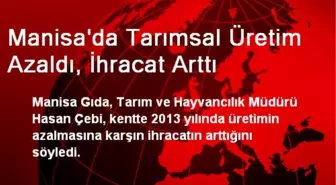 Manisa'da Tarımsal Üretim Azaldı, İhracat Arttı