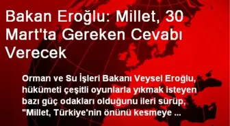 Bakan Eroğlu: Millet, 30 Mart'ta Gereken Cevabı Verecek